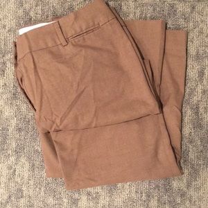 Classic Camel LOFT 12 Petite Pants